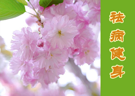 Image for article Falun Dafa curó el síndrome de Guillain-Barré de mi hijo