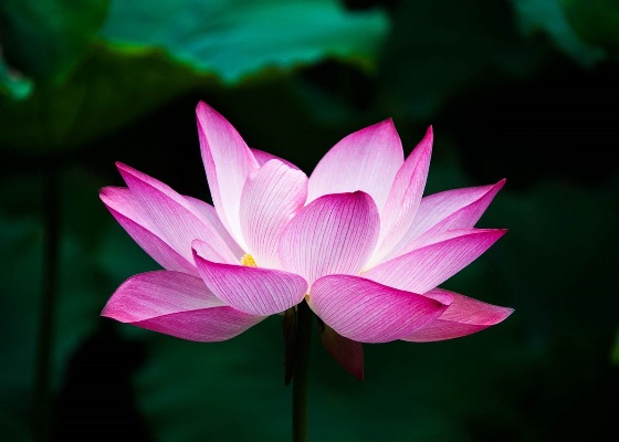 Image for article Descubrí mis apegos después de que estafaran a mi padre