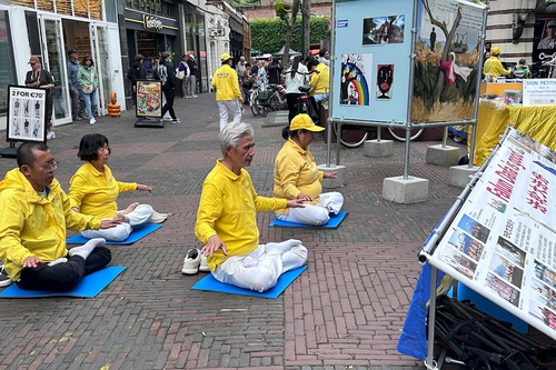 Image for article Países Bajos: Personas brindan apoyo durante una jornada informativa en Haarlem