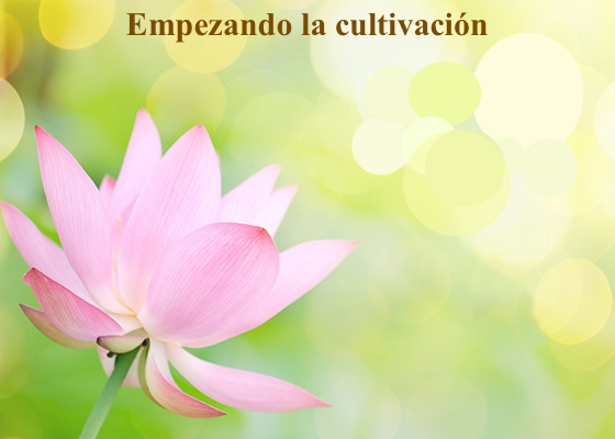 Image for article Experiencias de cultivación de una nueva practicante