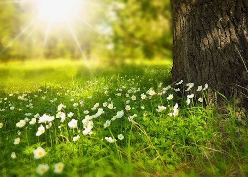 Image for article Falun Dafa despertó mi conciencia