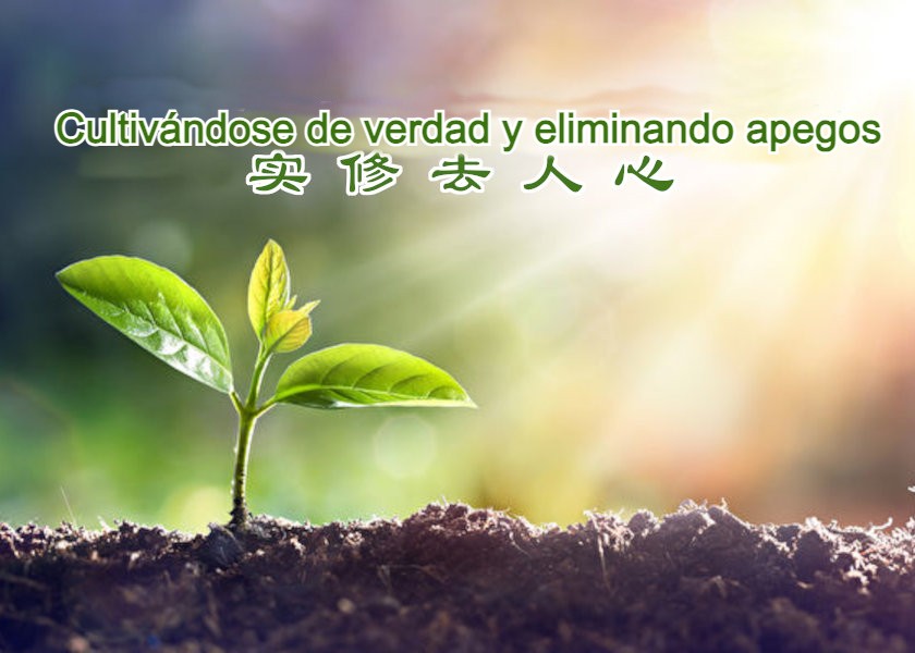 Image for article Mi entendimiento sobre dejar ir el “yo”